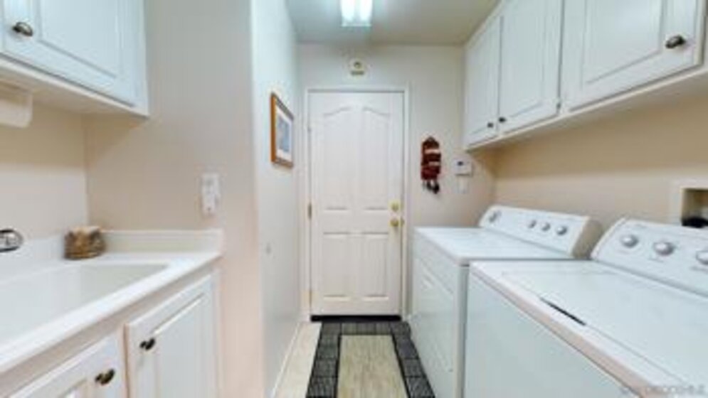 33687 Shamrock Photo