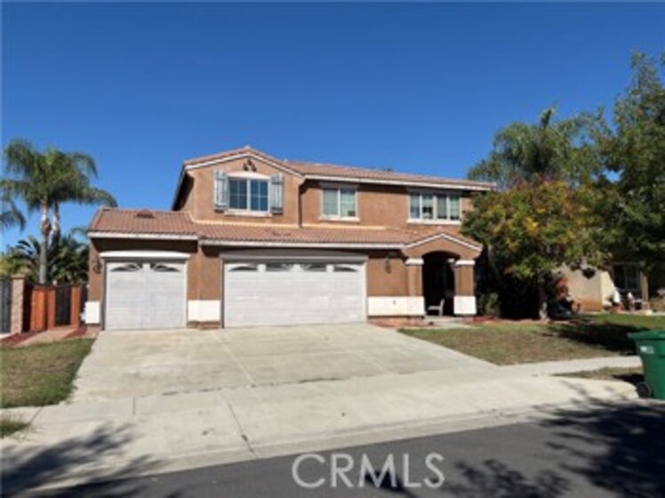 29162 Hydrangea Photo